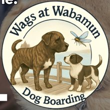 Wags at Wabamun Dog Boarding logo