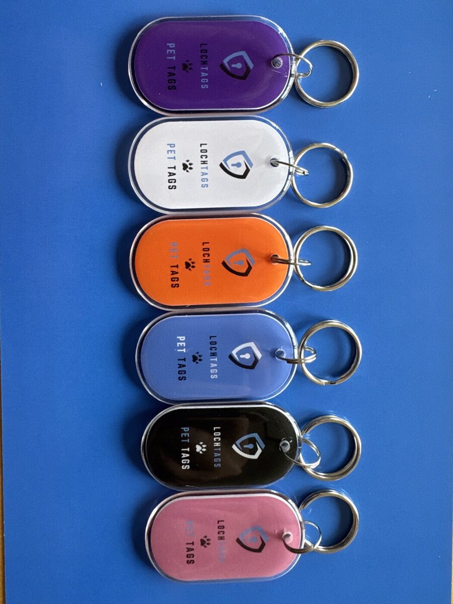 LochTags Pet Tag fronts in six colours